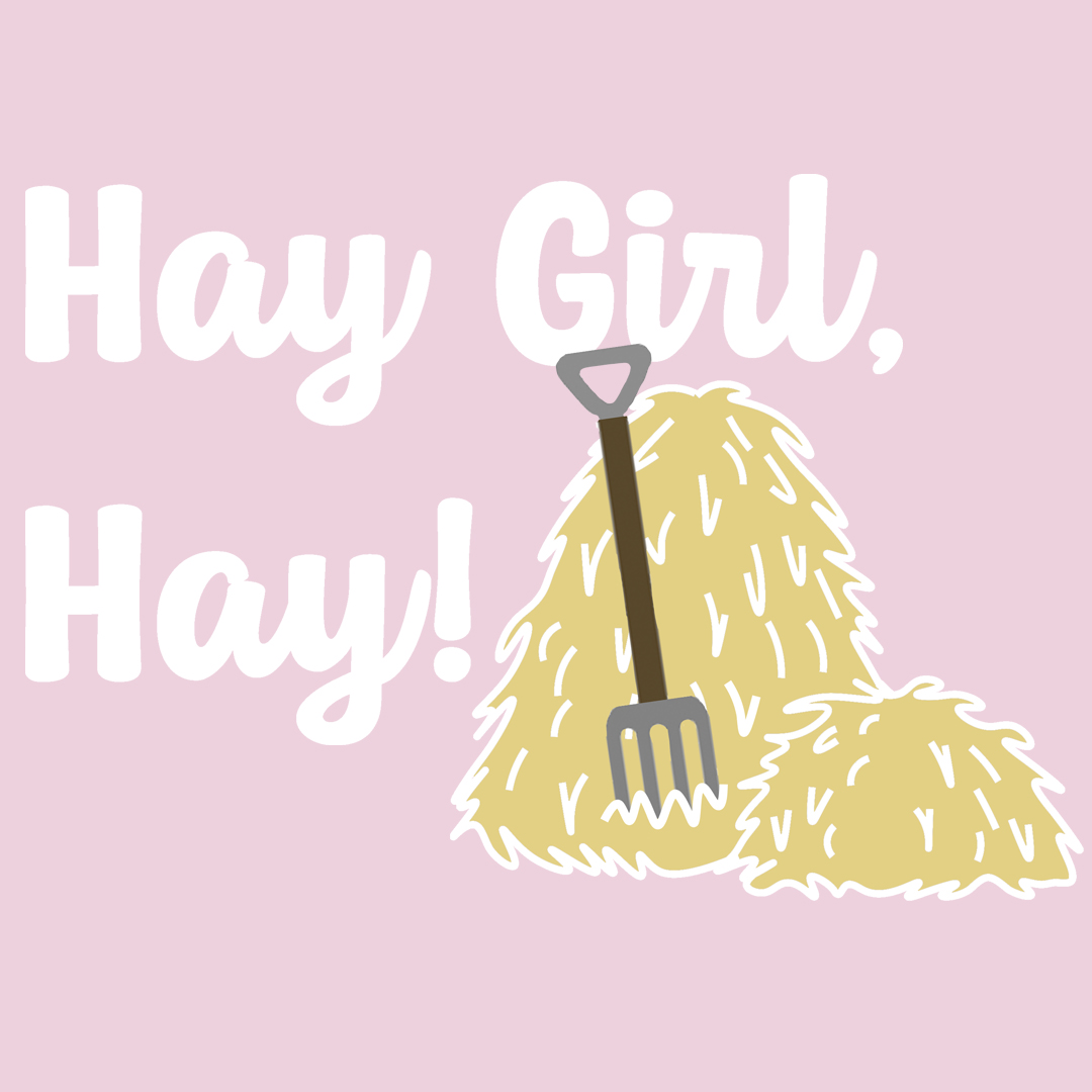 Hay Girl, Hay! Hoodie - Image 7