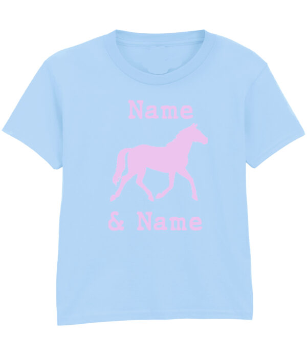 Light Blue Light Pink Horse and Rider