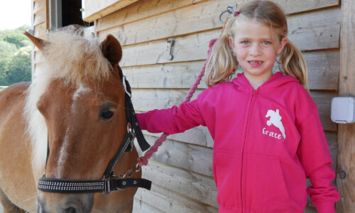 Hot Pink Horse and Rider Zip Up by Luvponies.com