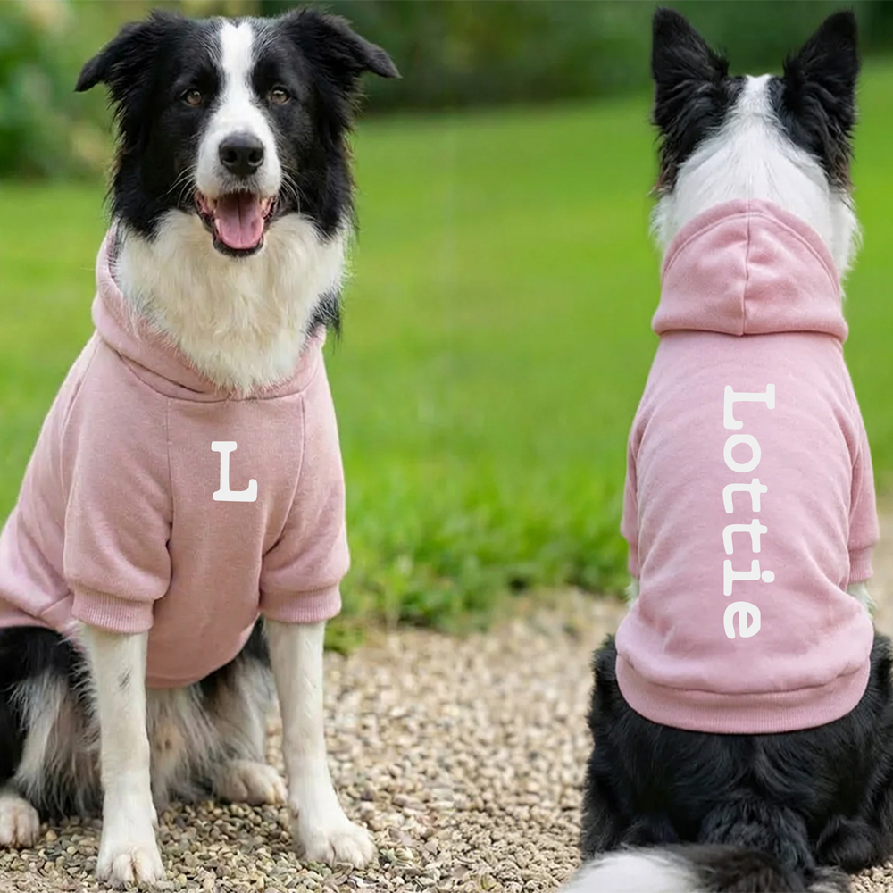 Personalised Dog Hoodie - Image 2