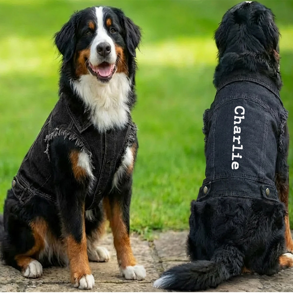 Personalised Denim Jacket Dog Coat - Image 2