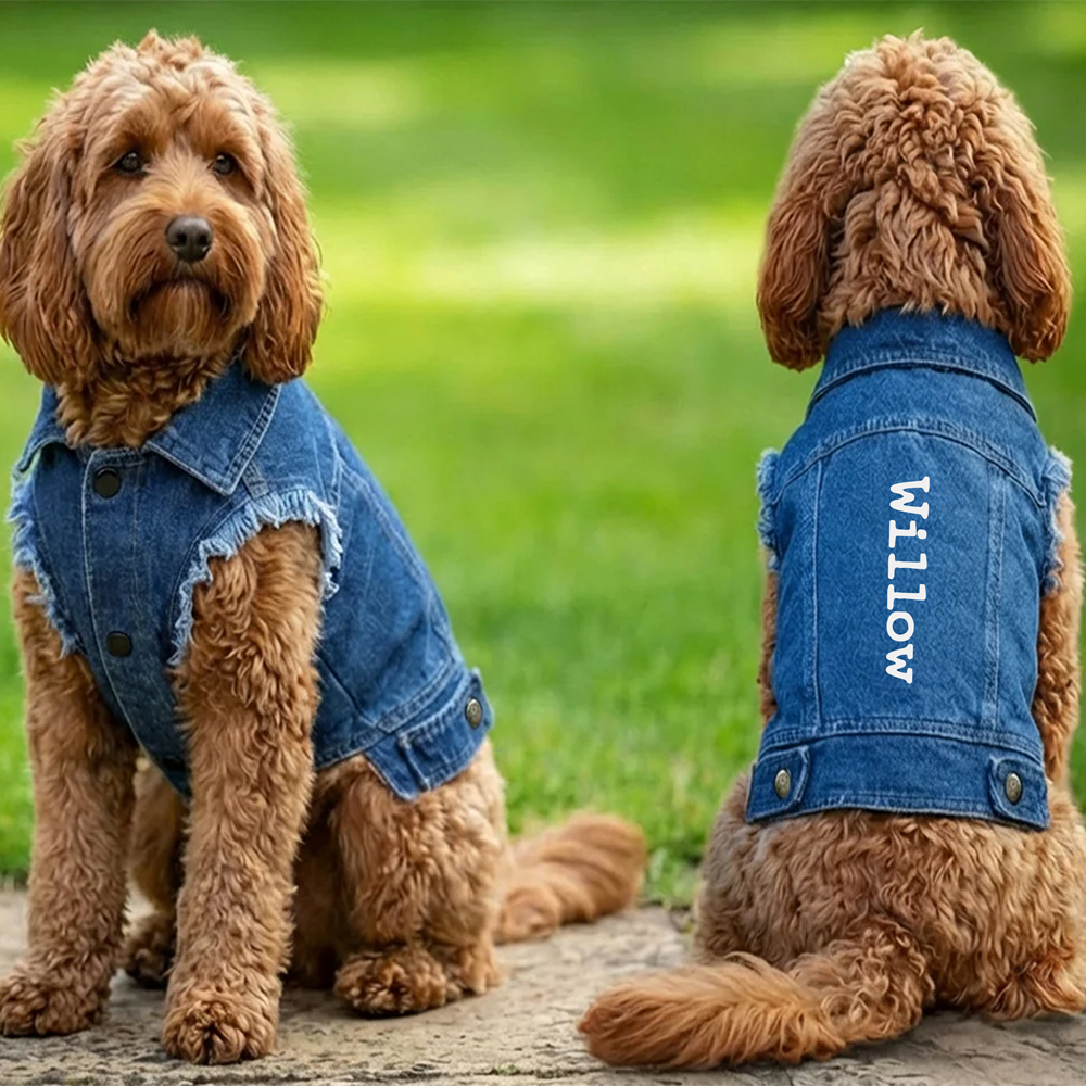 Personalised Denim Jacket Dog Coat - Image 3