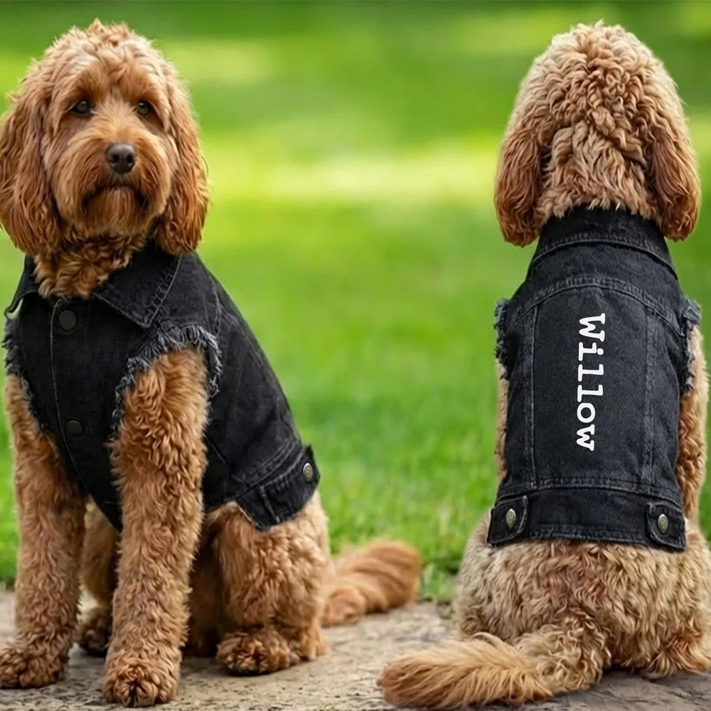 Personalised Denim Jacket Dog Coat - Image 4