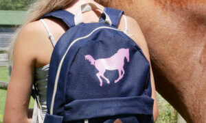 Yay! We can ditch our coats and start wearing pony-themed T-Shirts once more. Summer is back. Make the most of it with these horsey designs
