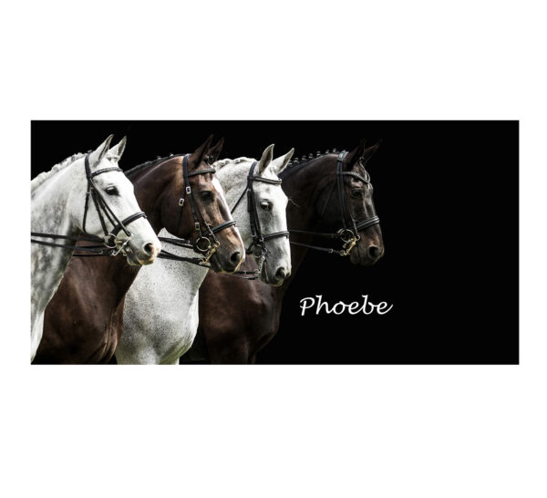 Showtime horse design towel