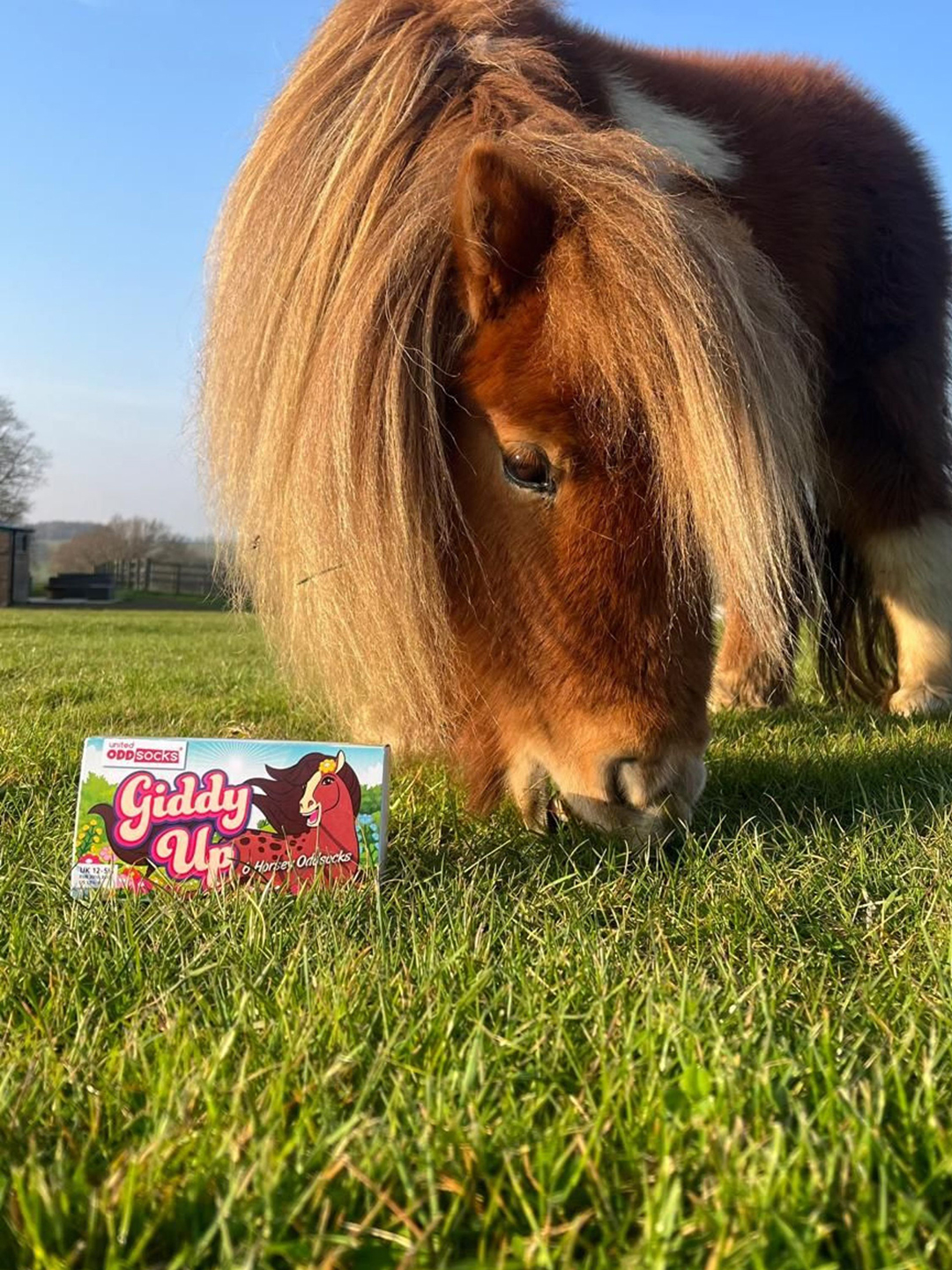 Giddy Up Socks