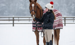 Young female pony rider wearing a Christmas Fairy riding hat cover as stands alongside her pony