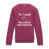 Yes I Smell Like A Horse Sweatshirt by Luvponies